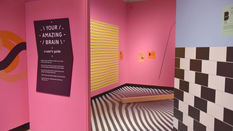 Interior shot of the exhibition. Pink walls with a black intro panel reading "Your Amazing Brain" and indistinguishable smaller text. Walls and floor are covered with optical illusions; checkered bending lines, dazzle patterns, etc.