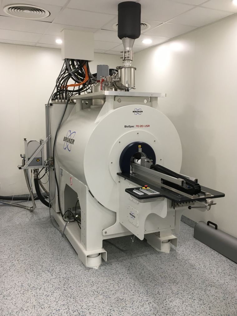 Small animal MRI scanner