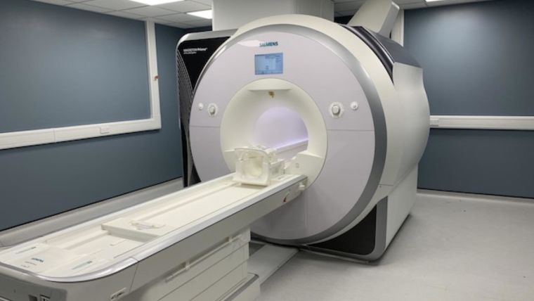Primate animal MRI scanner