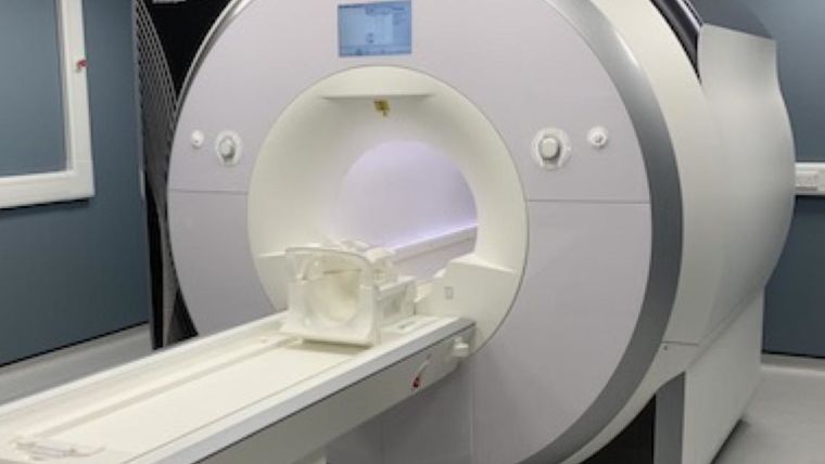 Our dedicated non-human primate scanner allows us to carry out the same functional and structural MRI scans as are acquired on our human scanners.