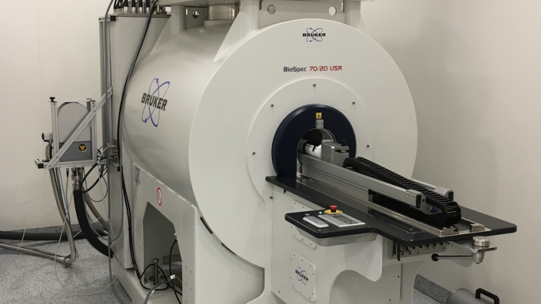 Our small bore MRI scanner allows high resolution structural and functional MRI scans in rodents