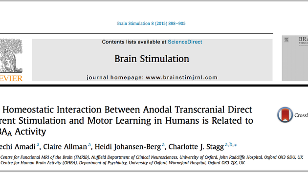 Published Paper: Brain Stimulation